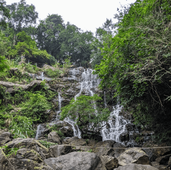 Vườn thực vật Phong Nha