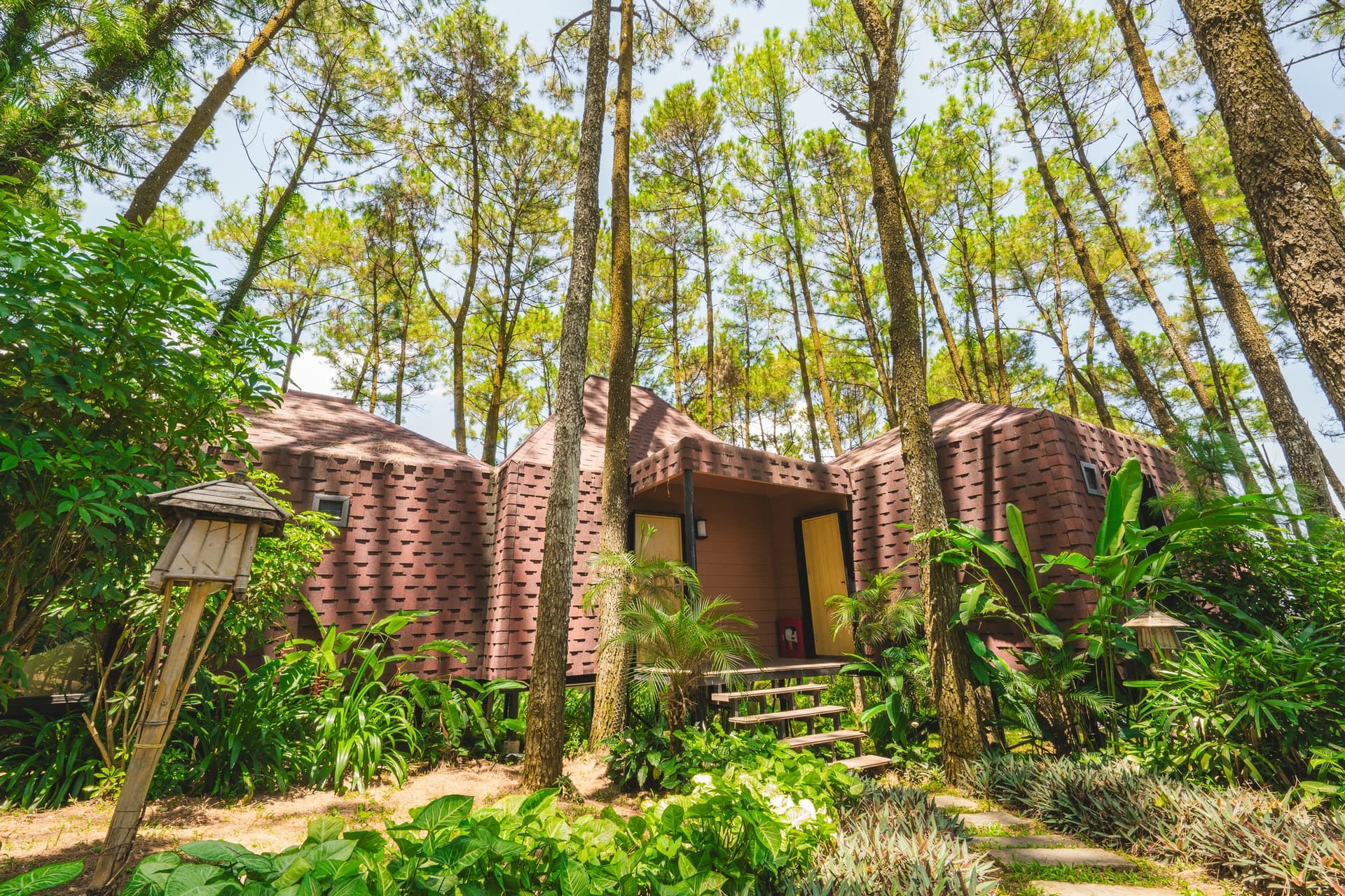 Green Pine Resort