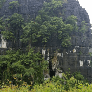 Wine Cave Phong Nha