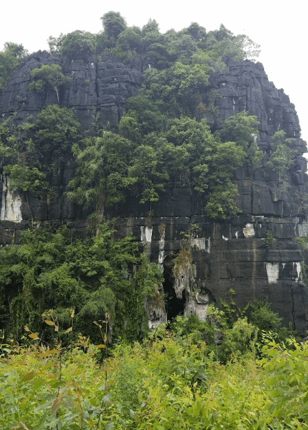Wine Cave