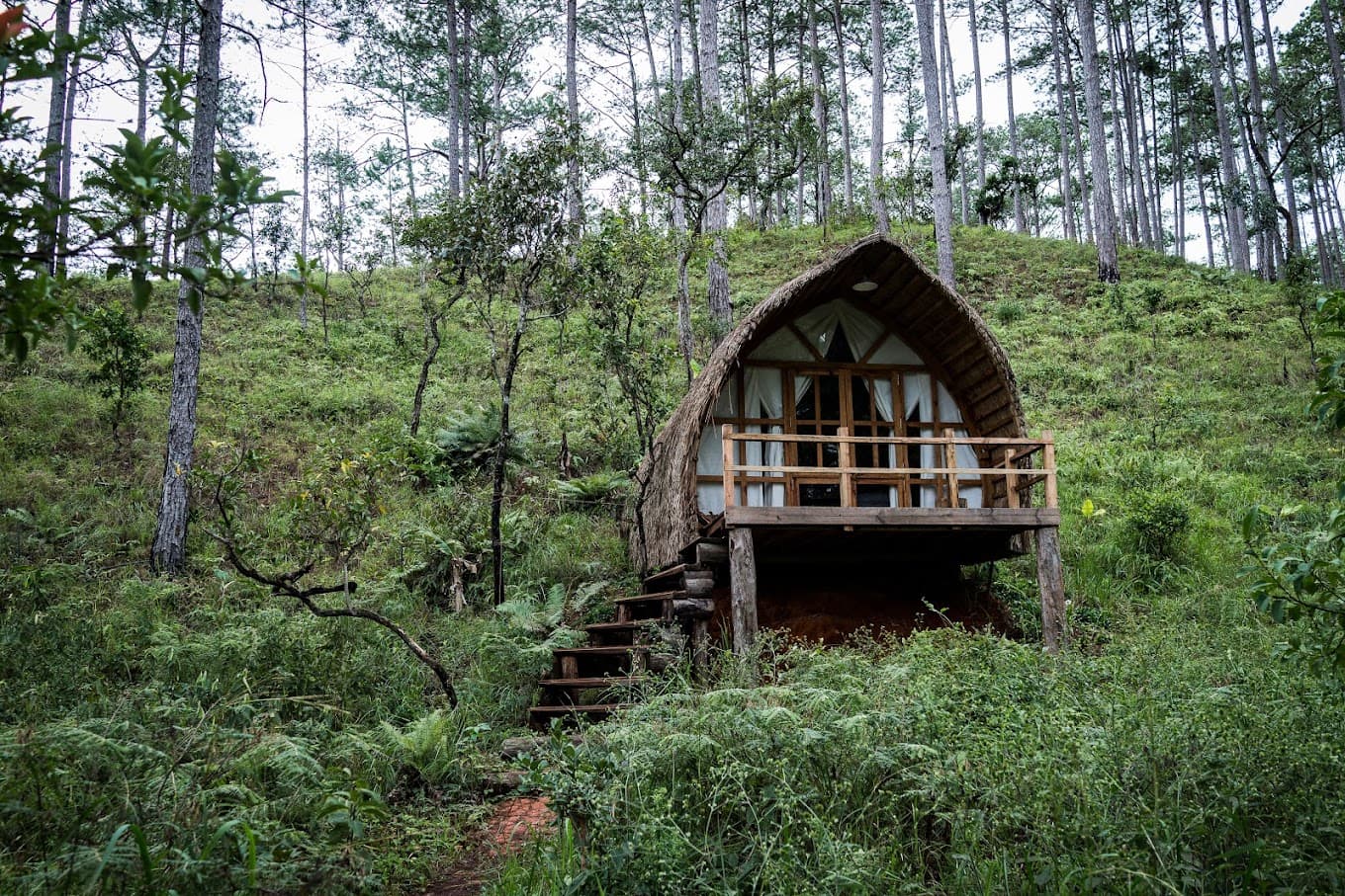 Andante Nature Retreat