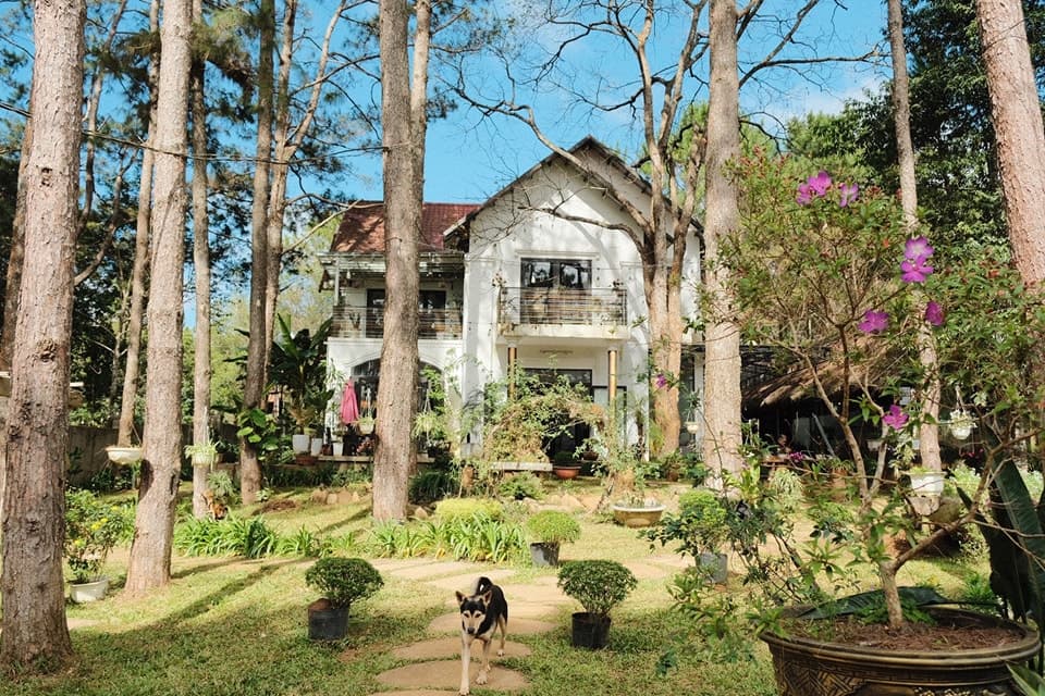 S'nghe Homestay Măng Đen