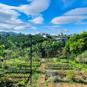 Vintage Garden's Farmstay