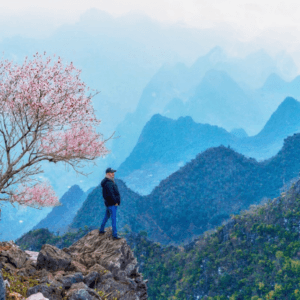 Mỏm đá rồng A Páo - Mèo Vạc - Hà Giang