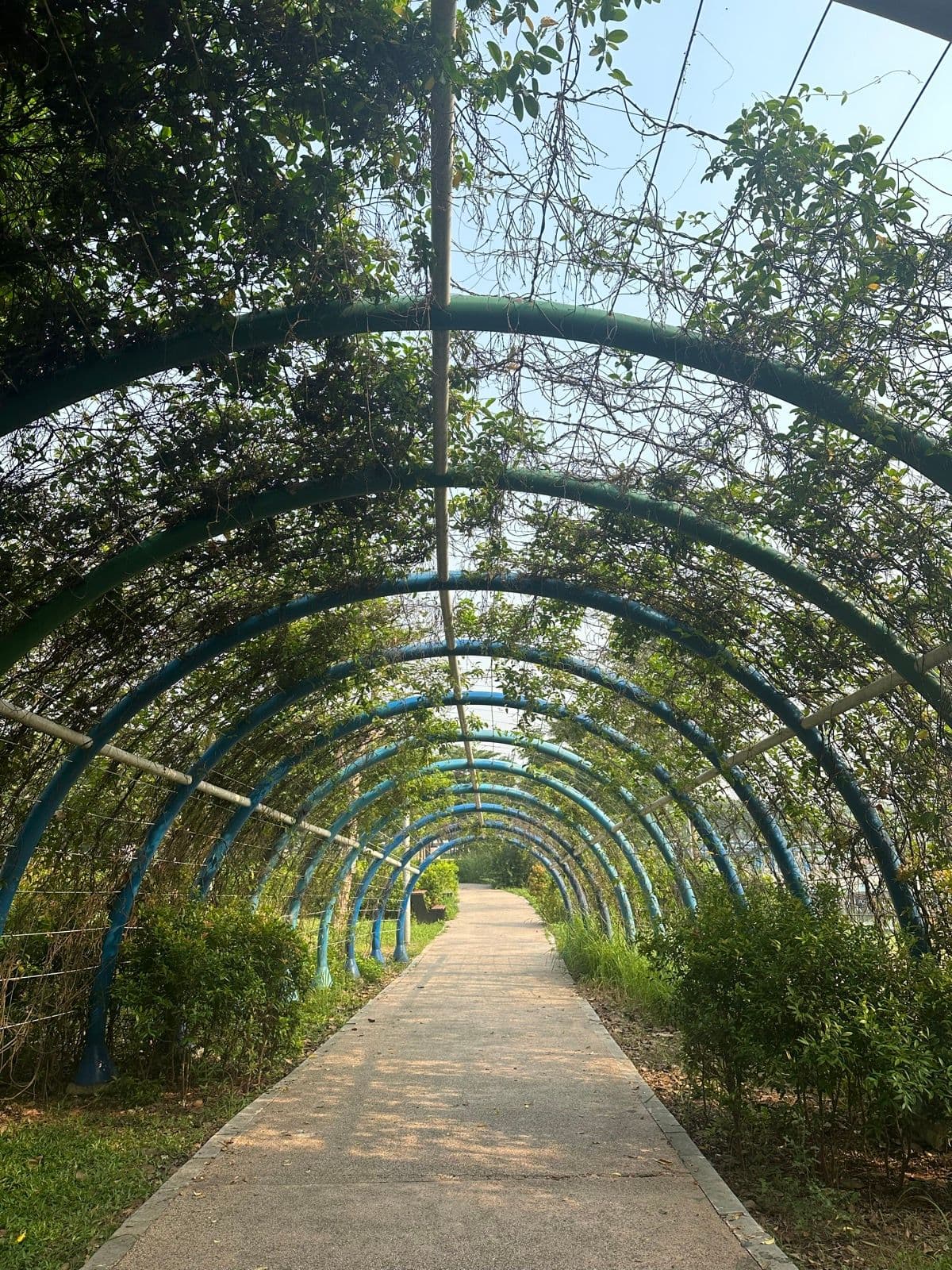 Dương Nội