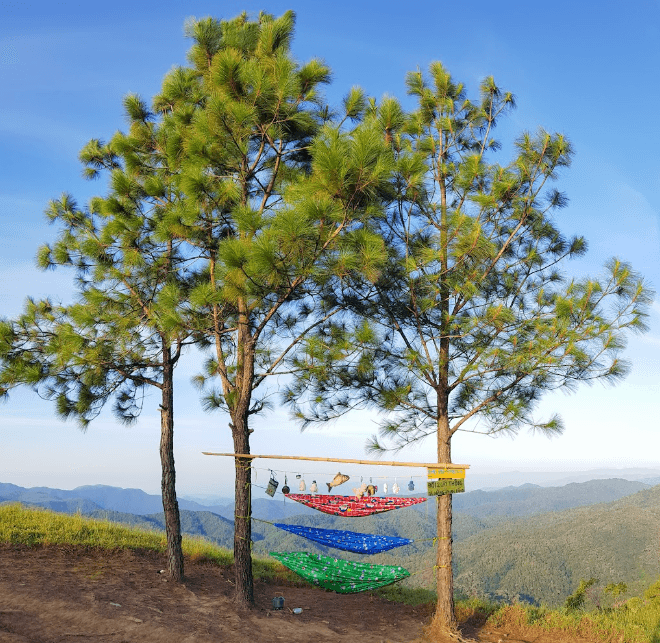 Đồi hai Cây Thông