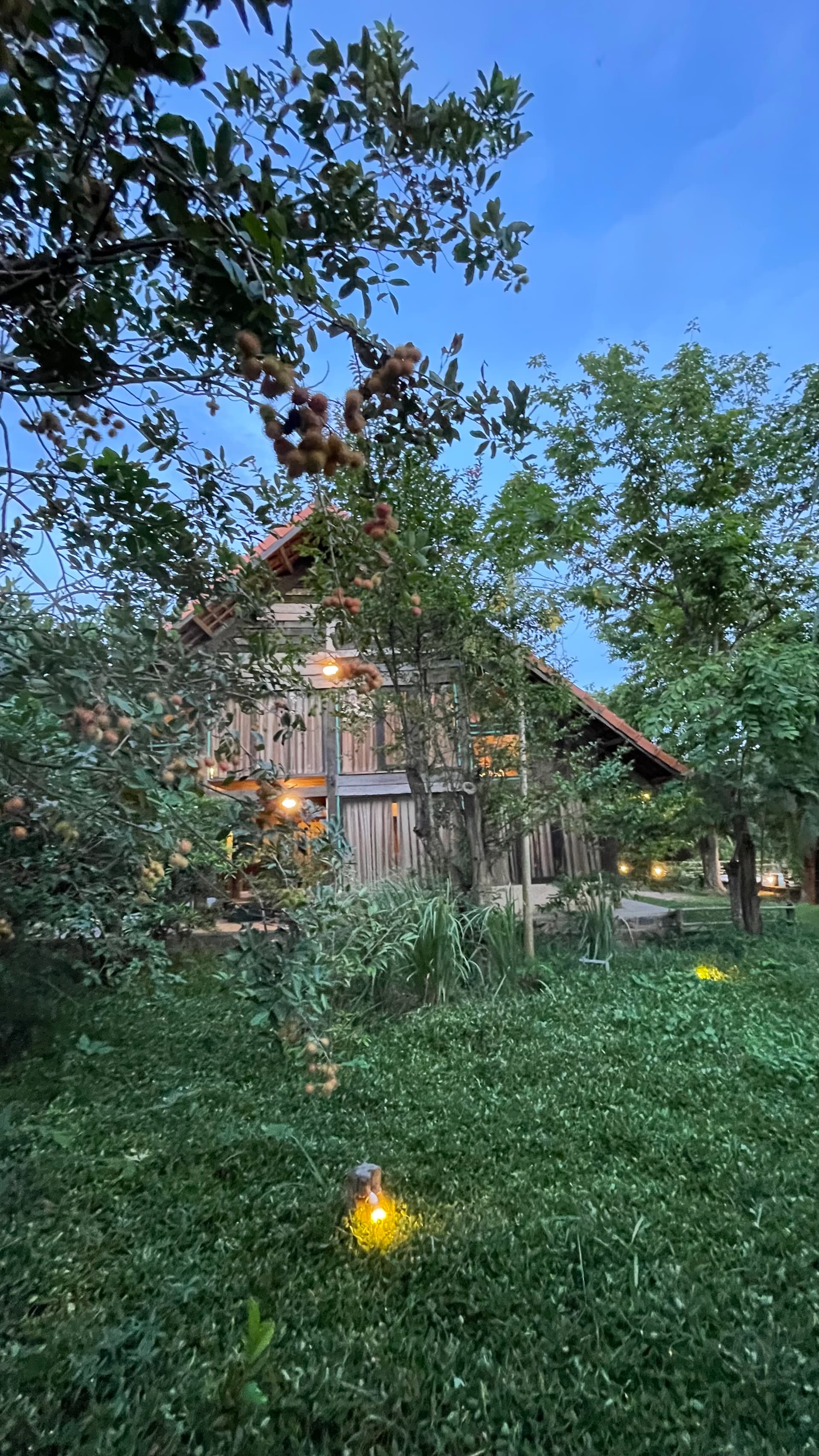 Happy Zen Farm - Xuyên Mộc - Bà Rịa