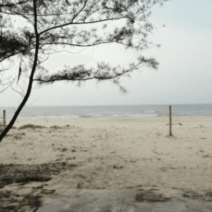 Bãi Tắm Điền Hòa