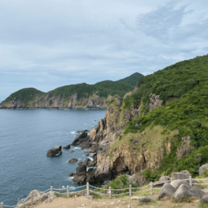 Mũi Điện