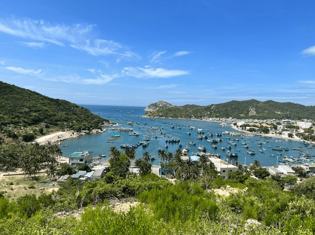 Đèo Cây Cóc Viewpoint