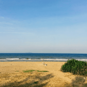 Bãi biển Xuân Hội