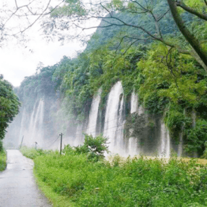 Khu Bảo Tồn Thiên Nhiên Thần Sa Phượng Hoàng - Võ Nhai - Thái Nguyên