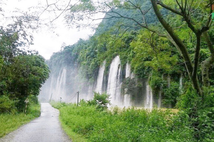 Khu Bảo Tồn Thiên Nhiên Thần Sa Phượng Hoàng - Võ Nhai - Thái Nguyên