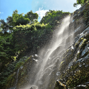 Thác Nước Bên Đường