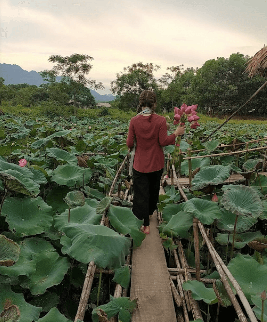 Đầm Vân Hội