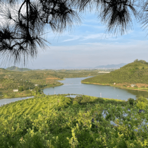 Đồi Thông Hồ Thum - Lục Ngạn - Bắc Giang