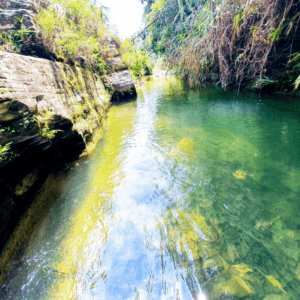 Hong Thu Spring - Quản Bạ - Hà Giang