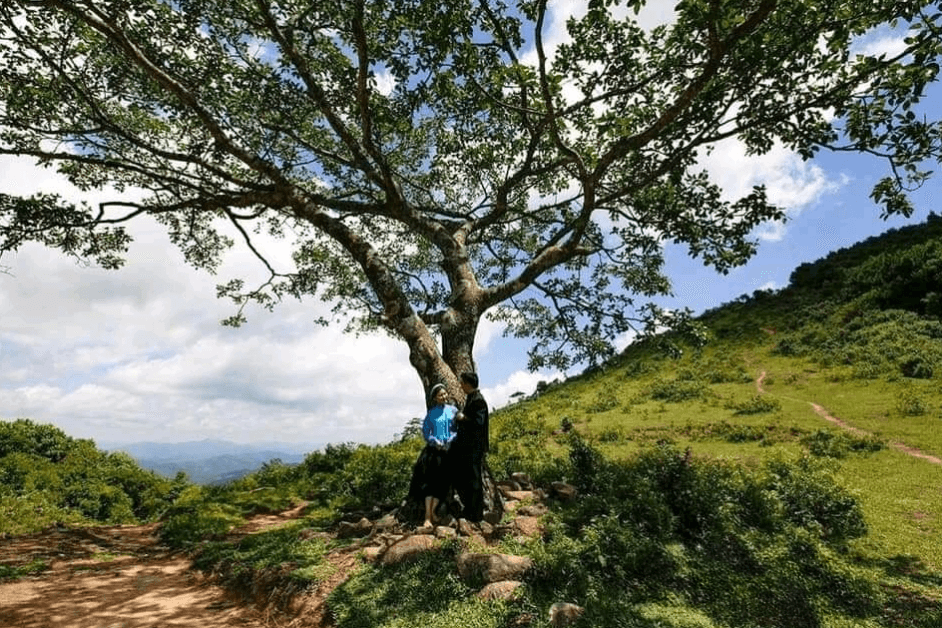 Gốc Đa Ăn Chơi - Tiên Yên - Quảng Ninh
