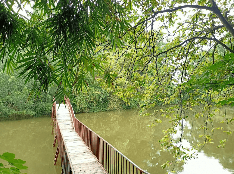 Khu bảo tồn Làng nhà sàn Dân tộc Sinh thái Thái Hải
