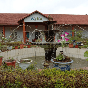 Kolia Organic Farm - Nguyên Bình - Cao Bằng