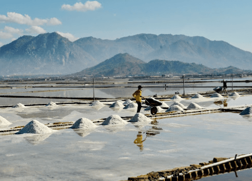 Cánh Đồng Muối Ninh Thuận Salt Field