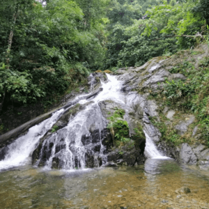 Thác Bạch Vân