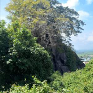 Đỉnh Cây Da - Thoại Sơn - An Giang
