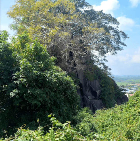 Đỉnh Cây Da - Thoại Sơn - An Giang