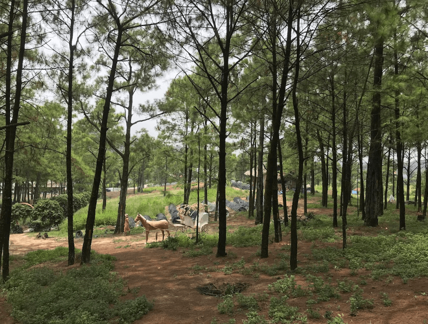 Vườn Yên Trung - Uông Bí - Quảng Ninh