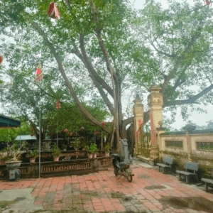 Đền Làng Rào - Hưng Nguyên - Nghệ An
