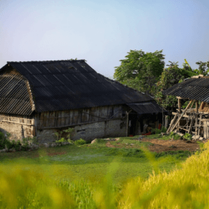 Đồng Lúa Bản Phùng - Hoàng Su Phì - Hà Giang