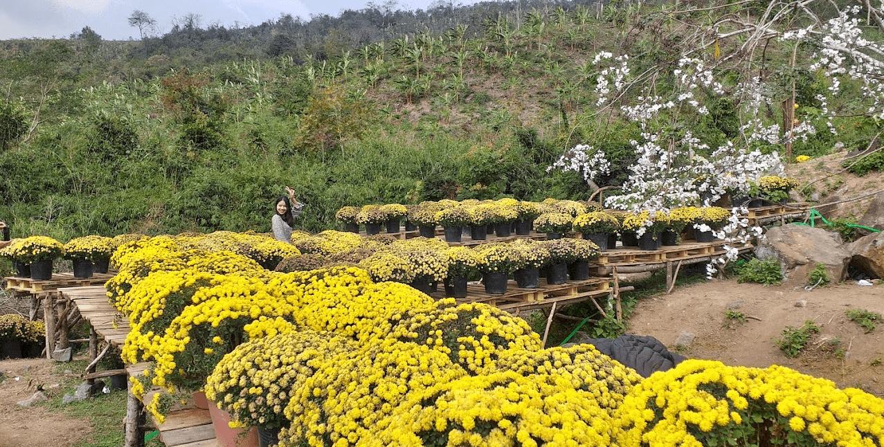 Vườn Hoa Suối La La - Hướng Hóa - Quảng Trị