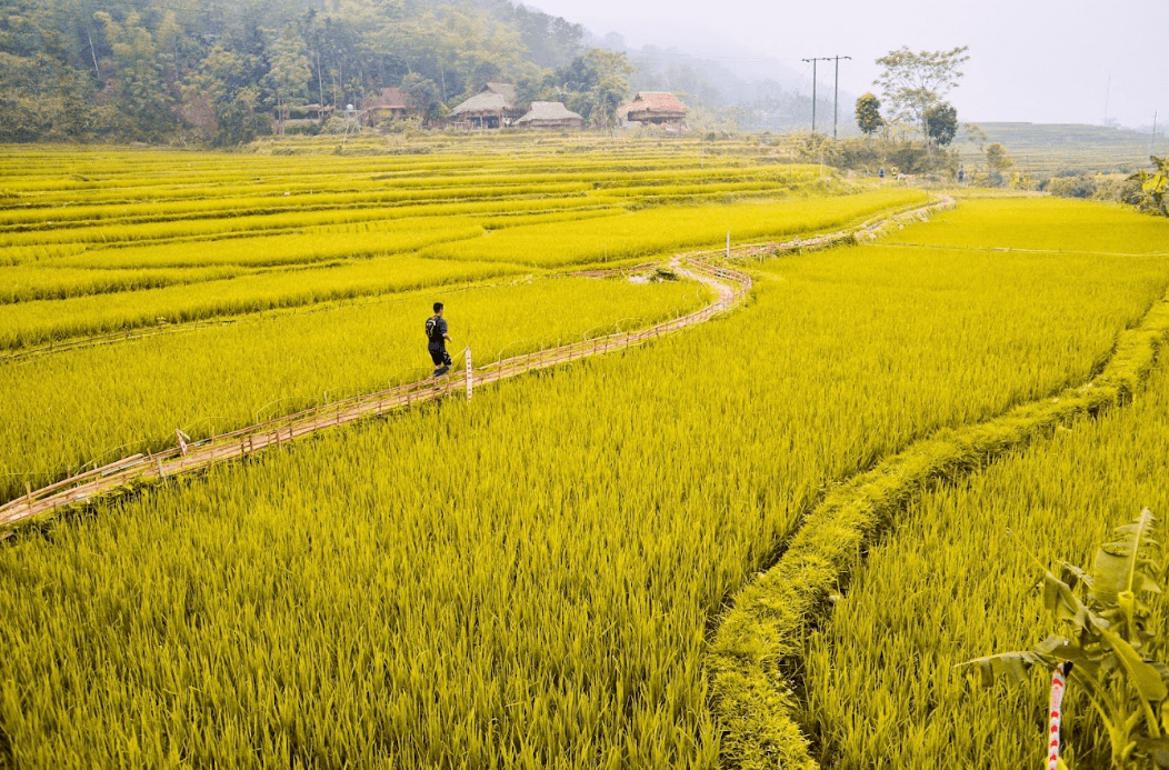 Bá Thước Yêu Thương - Bá Thước - Thanh Hoá