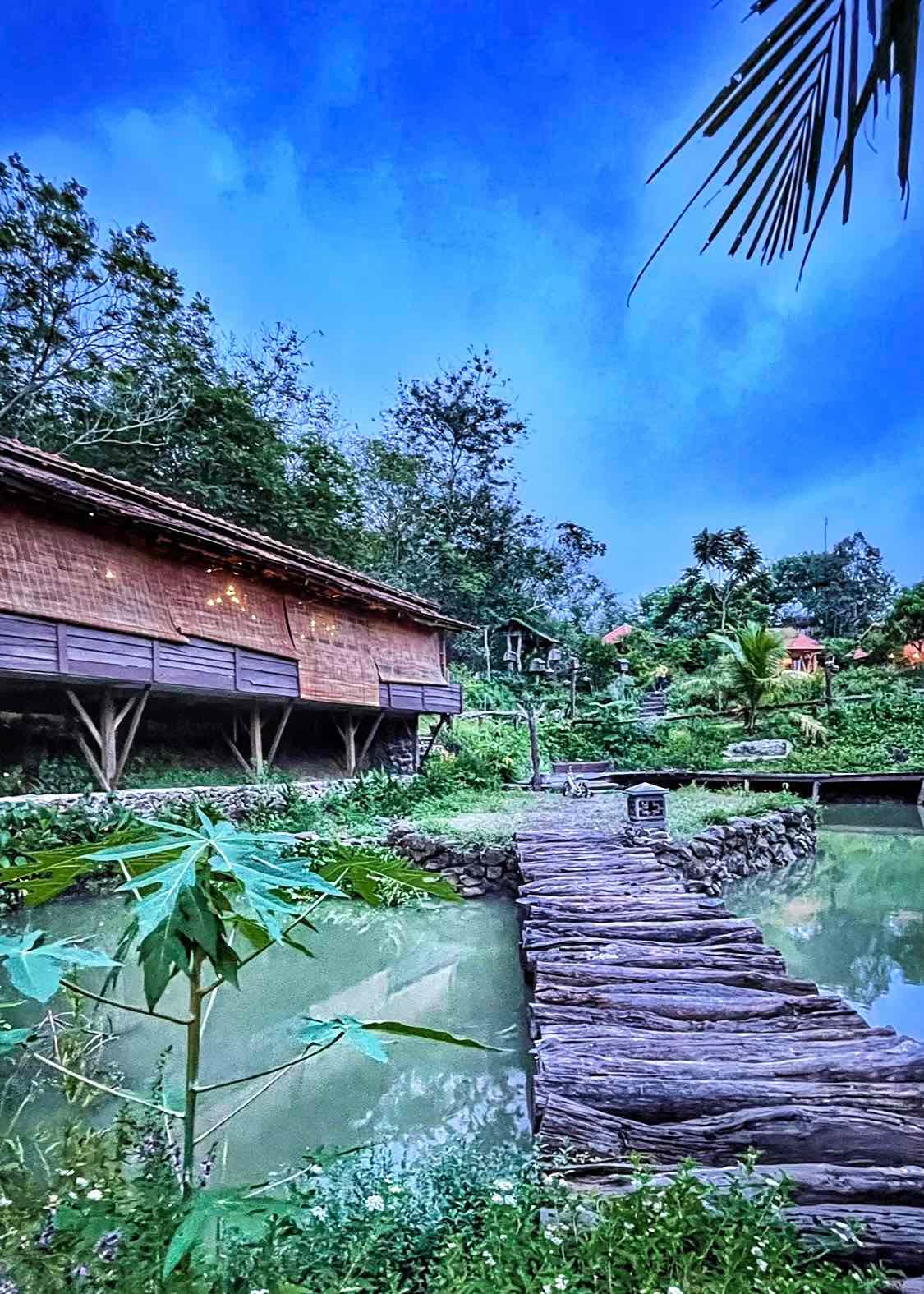 Suối Rao Forest