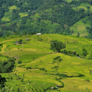 Ruộng bậc thang Nàng Đôn - Hoàng Su Phì - Hà Giang