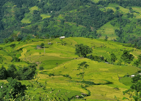 Ruộng bậc thang Nàng Đôn - Hoàng Su Phì - Hà Giang