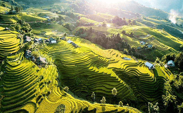Ruộng Bậc Thang Sa Pa