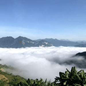 Biển mây Mường Lát