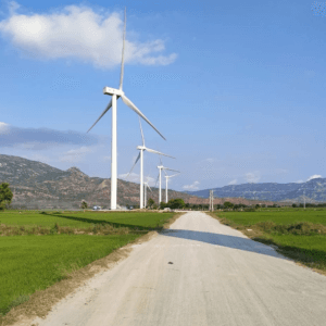Cánh Đồng Quạt Gió - Ninh Phước - Ninh Thuận