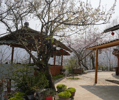 Núi Hoa Homstay - Quản Bạ - Hà Giang