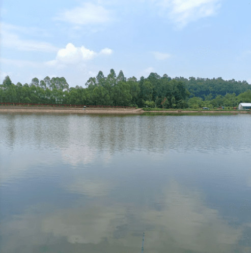 Đập Thọ Quang - Phù Ninh - Phú Thọ