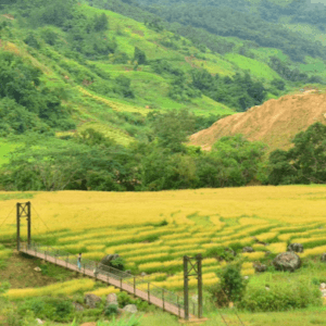 Cầu Treo Ngọc Linh