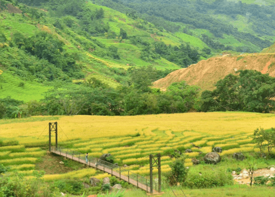Cầu Treo Ngọc Linh
