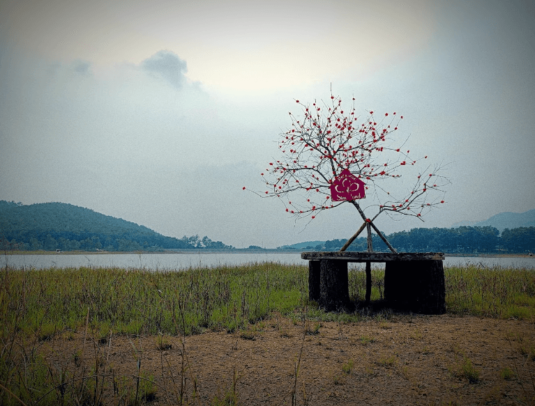 Đảo Sim - Uông Bí - Quảng Ninh