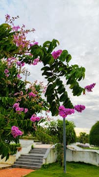 Đường số 11