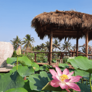 Khu Du Lịch Văn Hoá Sinh Thái Đầm Sen Saraphat