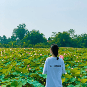 Đầm Sen Núi Nấm Thái Nguyên