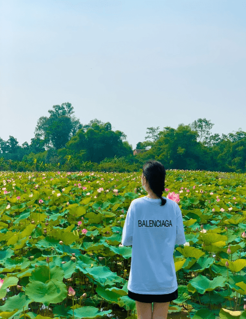 Đầm Sen Núi Nấm Thái Nguyên