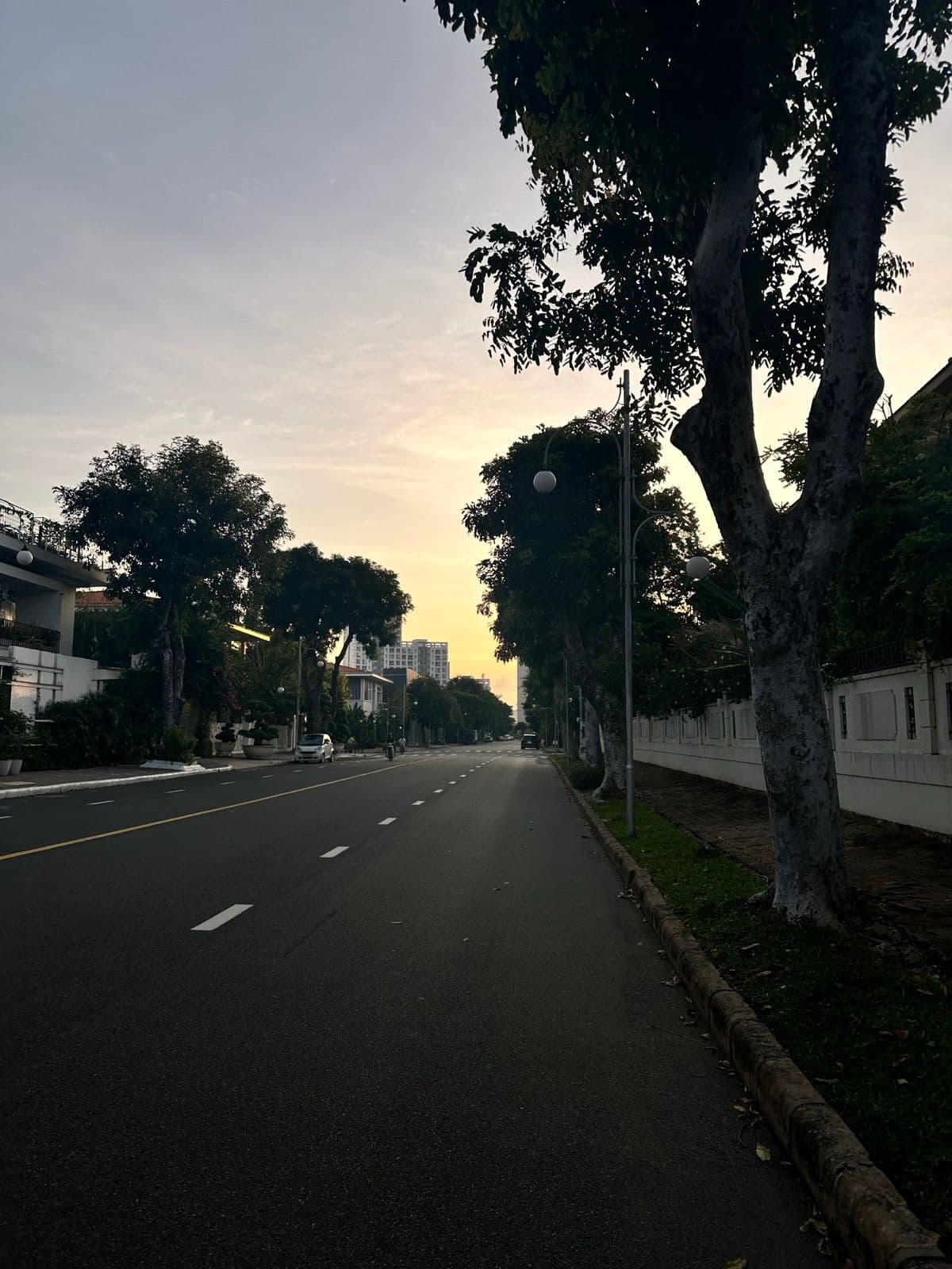 Nguyễn Văn Tạo-Trịnh Quang Nghị