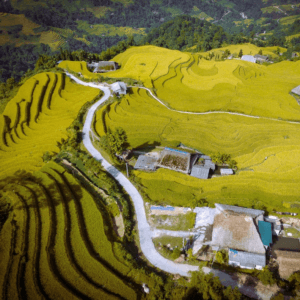 Ruộng Bậc Thang - Lùng Vài - Phương Độ - Hà Giang